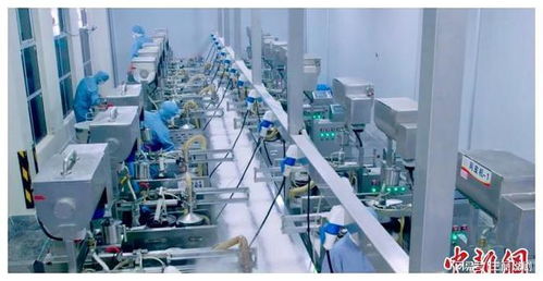 臺商深耕江西 以科技為翼，推動傳統食品傳承與生物化工創新